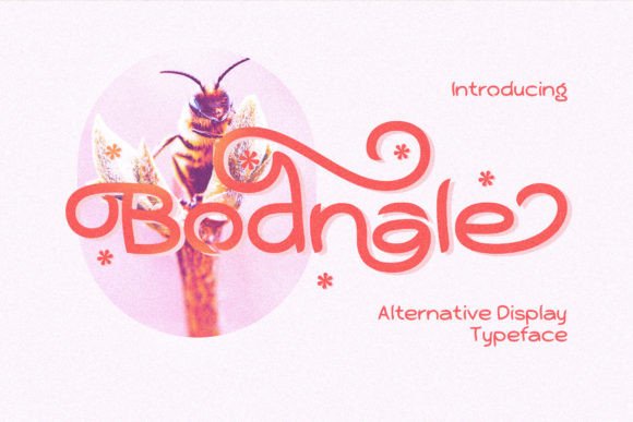 Bodnale: A Font That Elevates Editorial Design